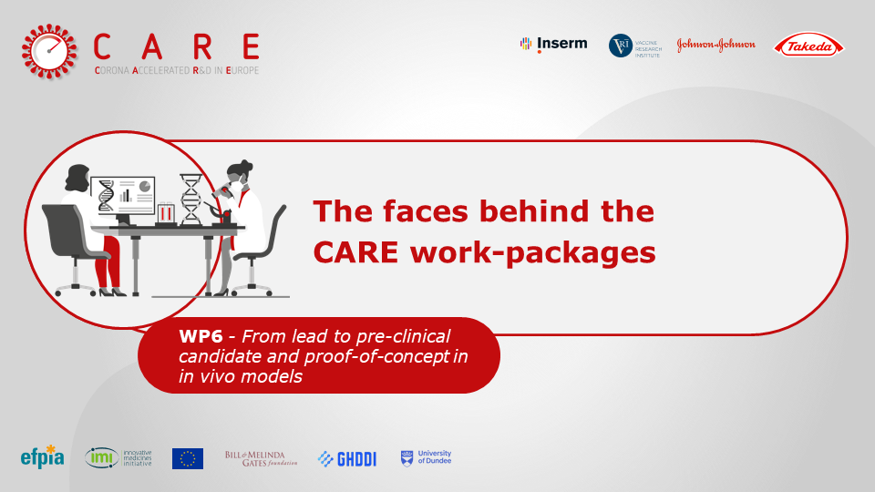 The faces behind the CARE work-packages – WP6